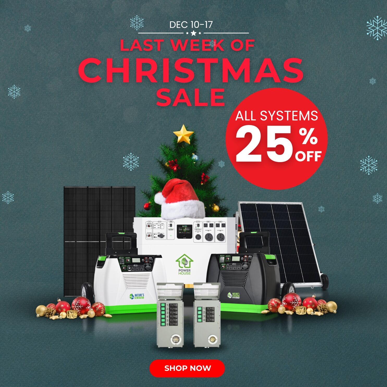 Last Week of Christmas Sale 2024